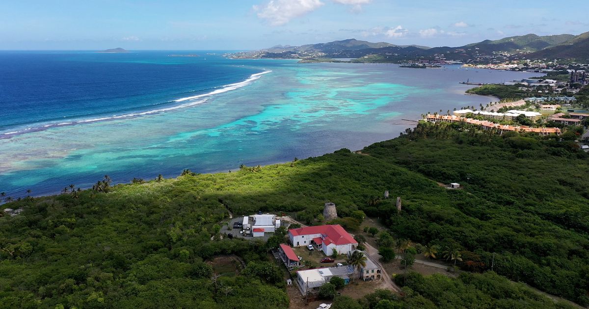 TNC USVI Receives Coral Research Center Designation [Video]