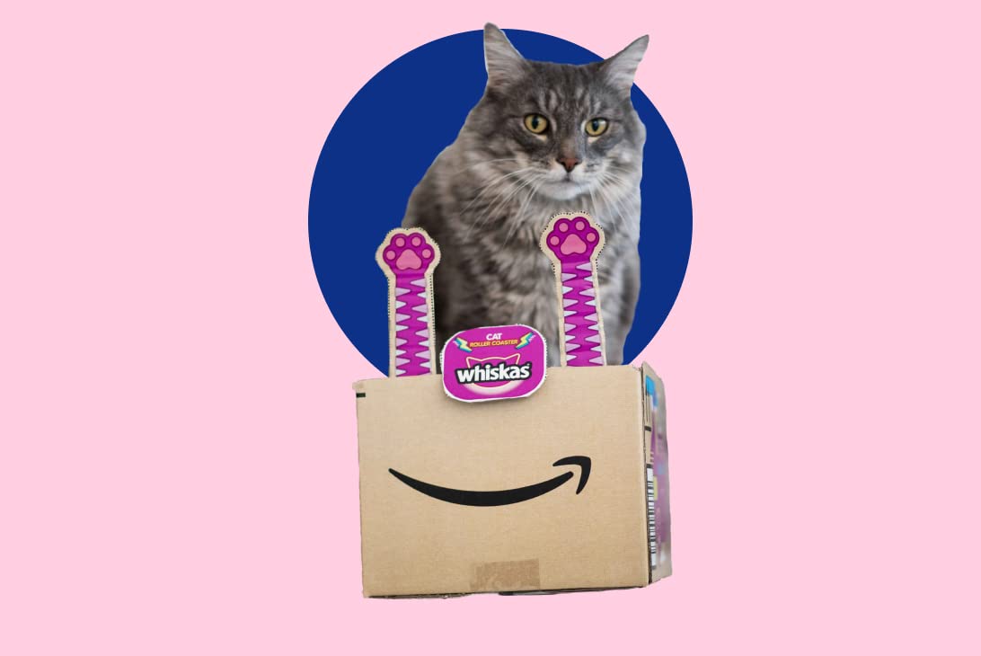 When a box becomes a billboard: Amazons on-box advertising [Video]