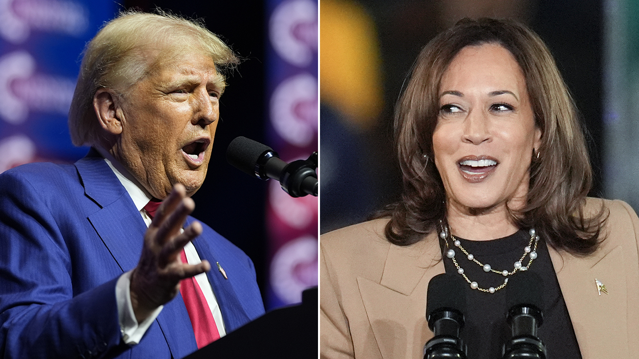 Trump merchandise outsells pro-Harris products by large margin: survey [Video]