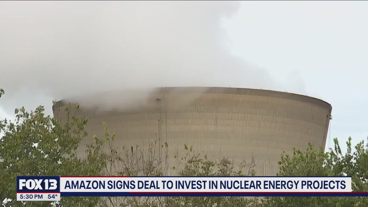 Amazon signs deal to invest in nuclear energy projects [Video]