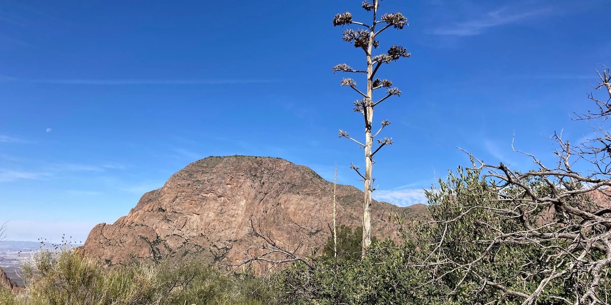 Hiker found dead alongside rugged trail at Big Bend National Park [Video]