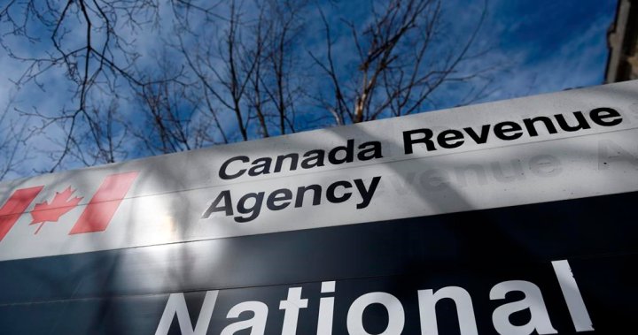 Canadas privacy commissioner to probe CRA data breaches – National [Video]