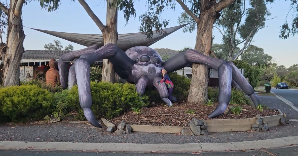 Is this Canberra’s biggest Halloween display? It’s certainly our biggest spider … [Video]