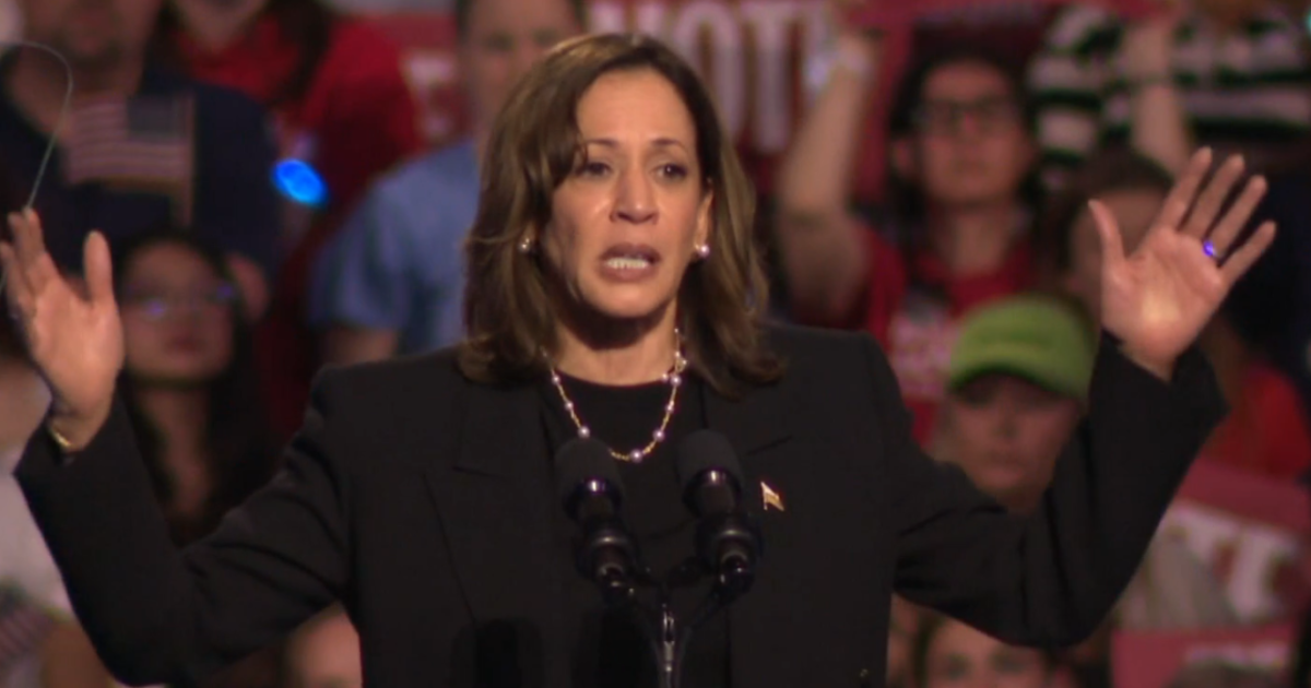 Kamala Harris hosts campaign rally and concert in Madison [Video]