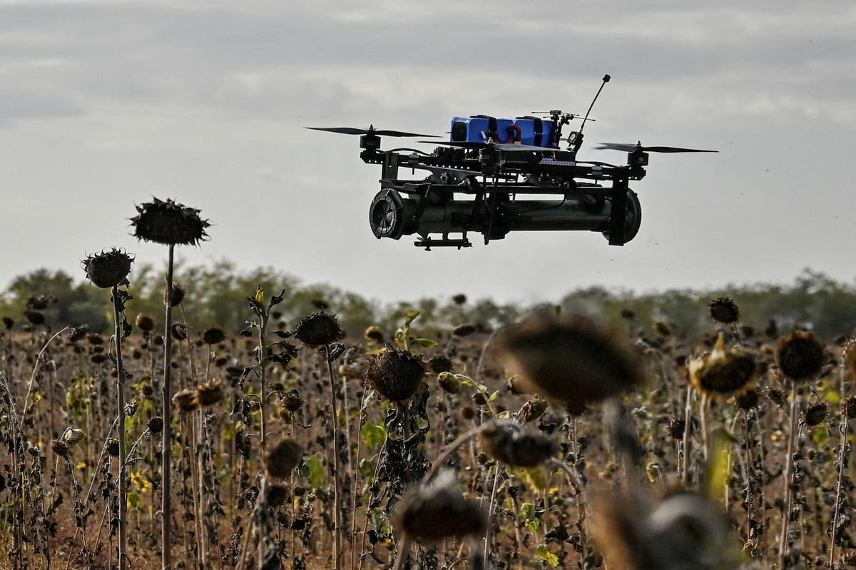 AI drones without pilots flying on special operations launched by Ukraine to hit Russian targets [Video]