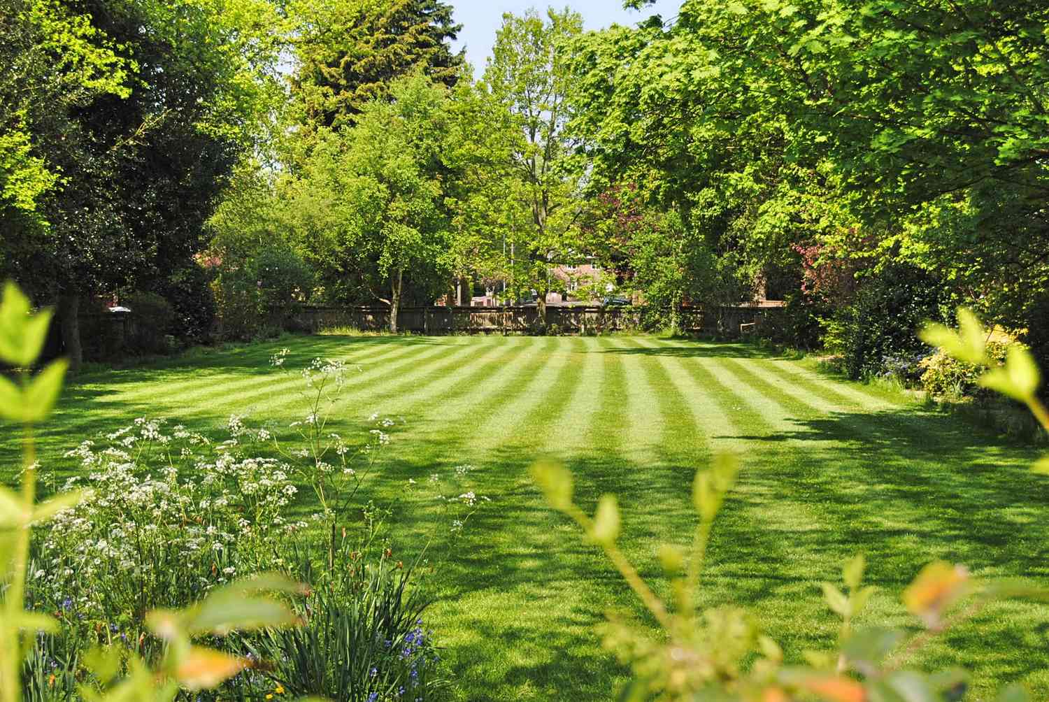 9 Lawn Care Trends for 2025 That Will Transform Your Yard [Video]