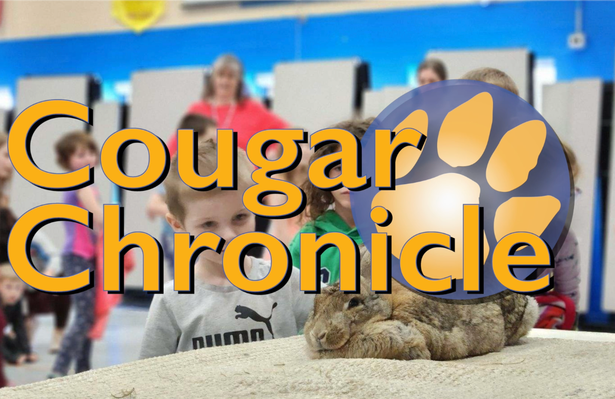 Cougar Chronicle November 2024 Edition  YCN Now [Video]