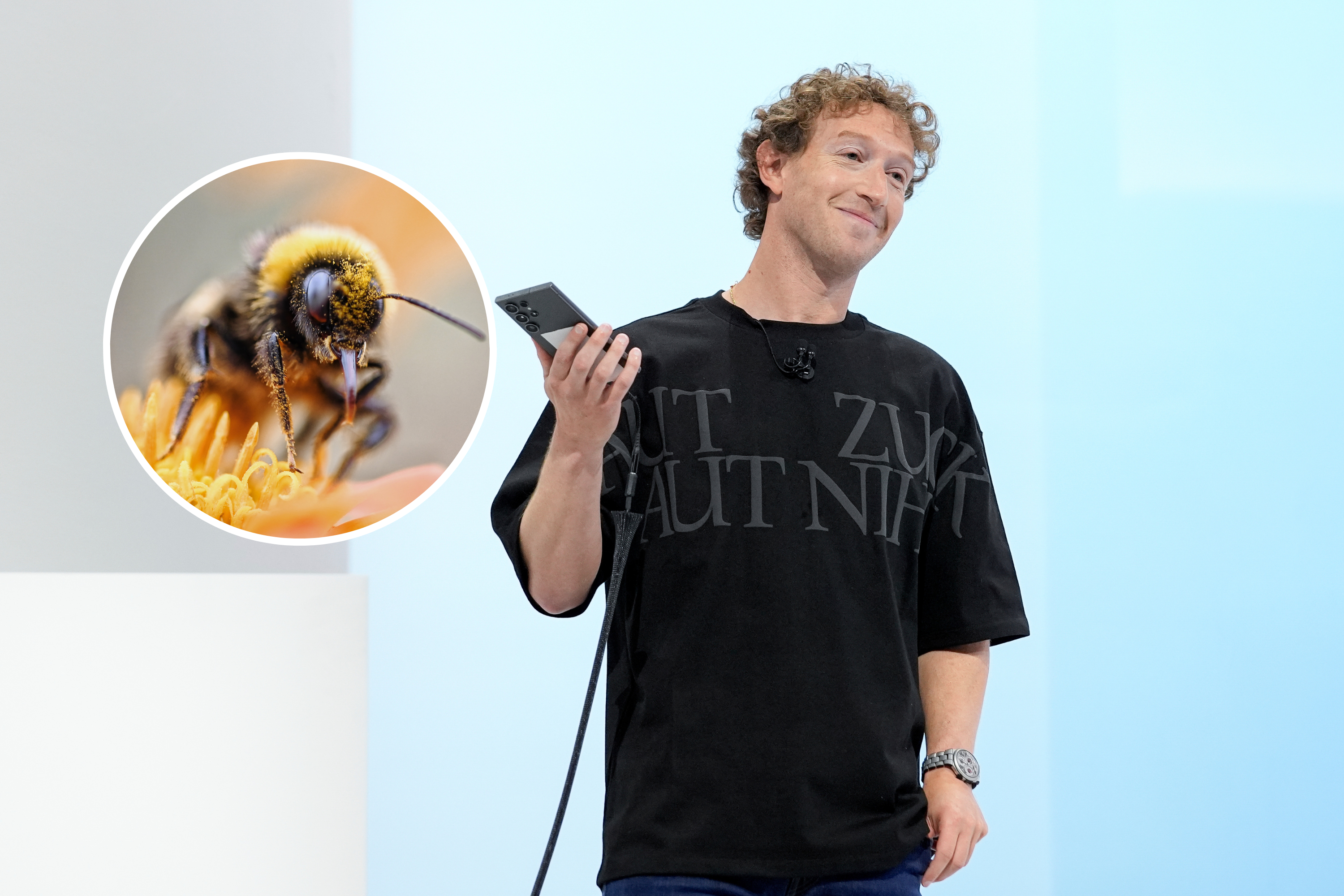 Mark Zuckerberg’s Nuclear-Powered AI Plans Thwarted by Bees [Video]