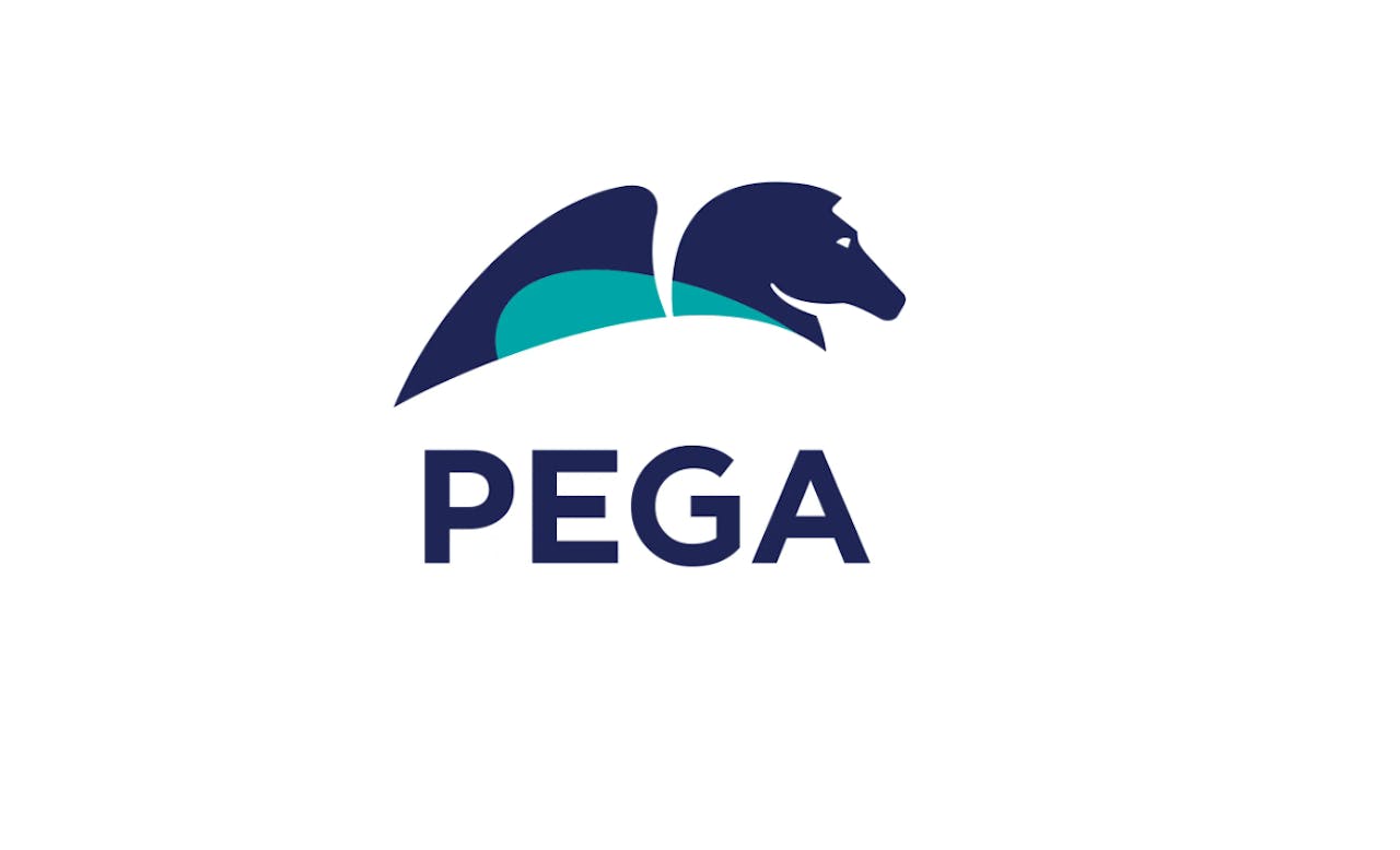 This B2B campaign achieved a 30% increase in C-Suite engagement for Pegasystems [Video]