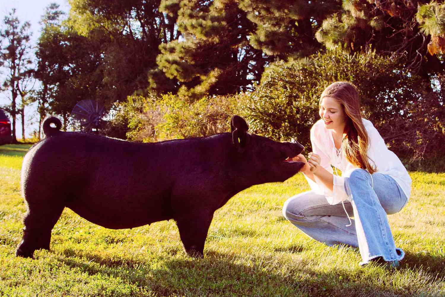 Love of Learning Extends Beyond FFA [Video]