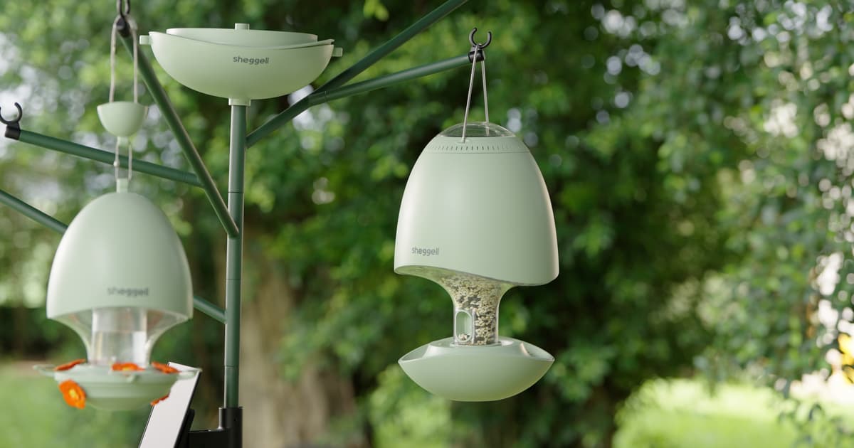 Ultimate bird hangout has smart feeders, pool and 24/7 video stream