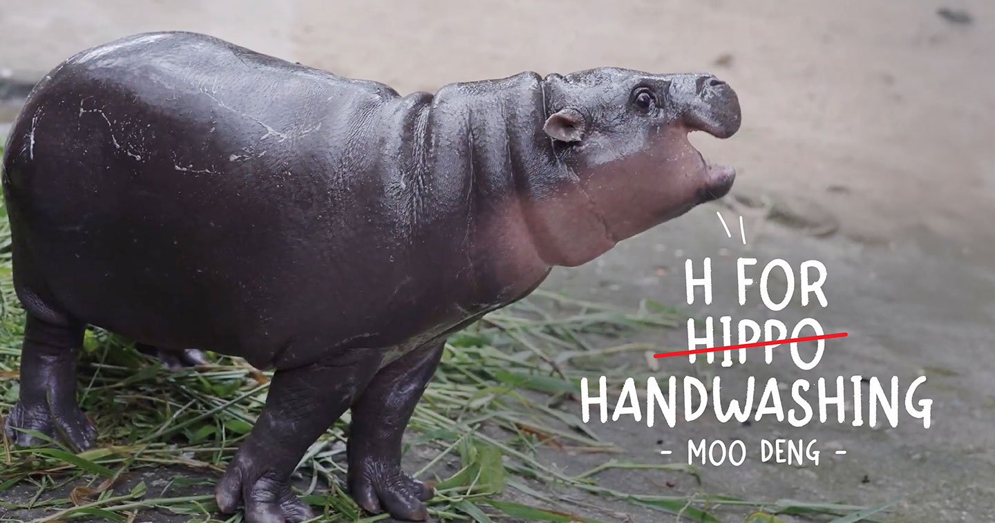 Global handwashing day gets endorsed by hippo adobo Magazine [Video]