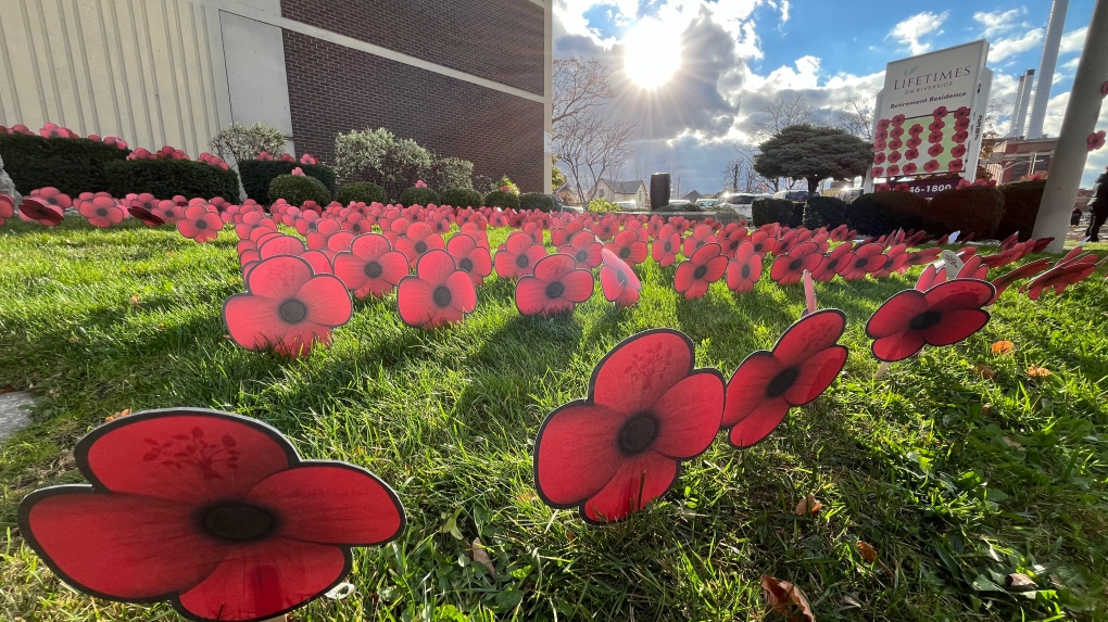 Poppies on display at local retirement home [Video]