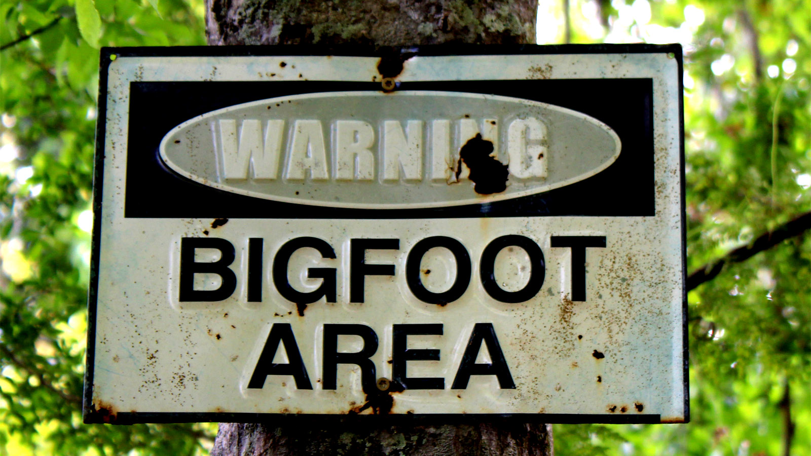 Indiana Man Captures Images Of Bigfoot On His Game Camera [Video]