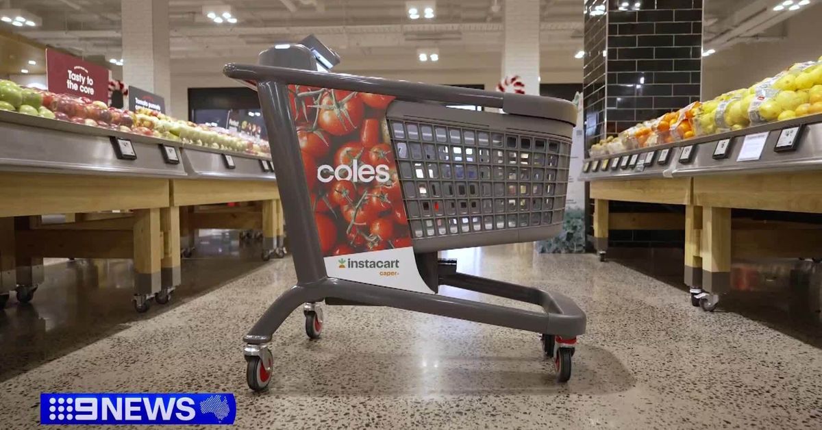 Coles to trial smart AI-powered trolleys in supermarkets so shoppers can skip the checkout [Video]