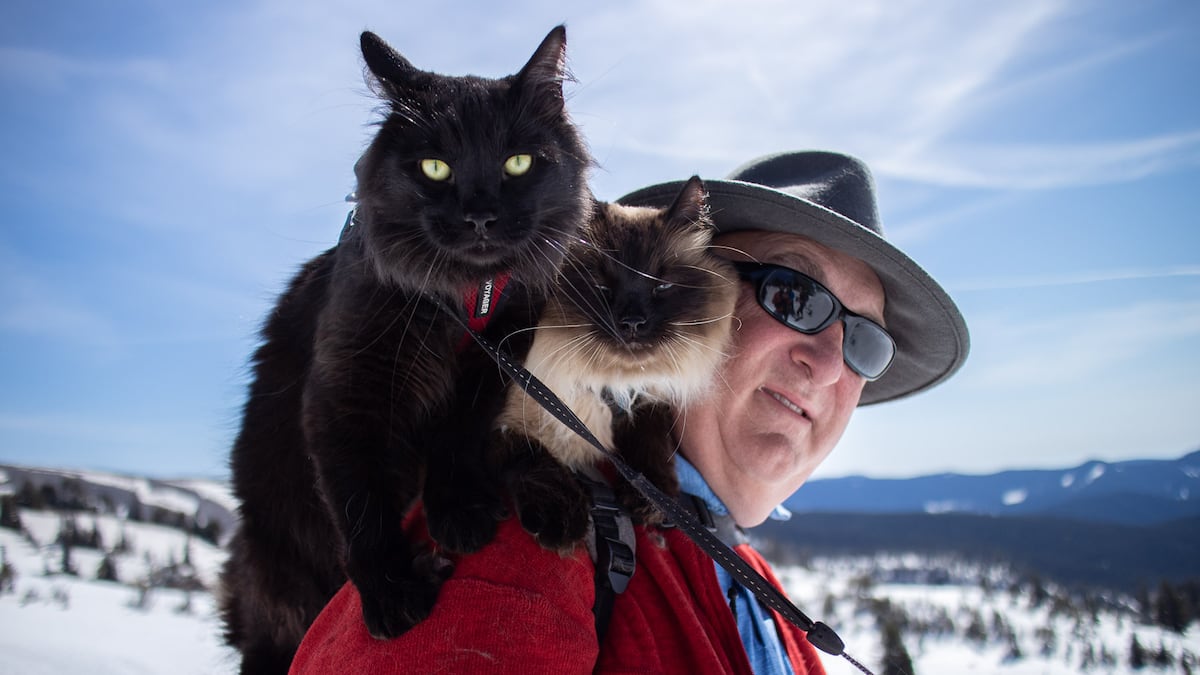 Adventure cats blaze new trails in Oregons great outdoors [Video]