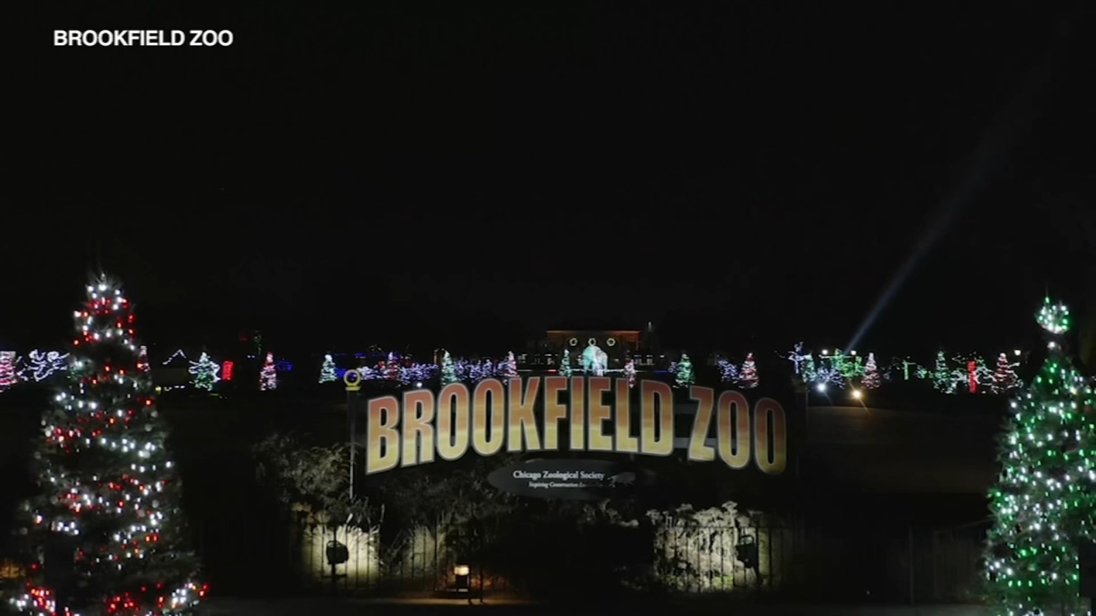 Holiday Magic transforms Brookfield Zoo Chicago for Christmas things to do in Chicago area [Video]