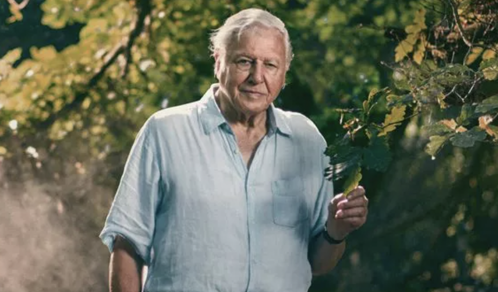 David Attenborough “Profoundly Disturbed” By AI Clone Of His Voice [Video]