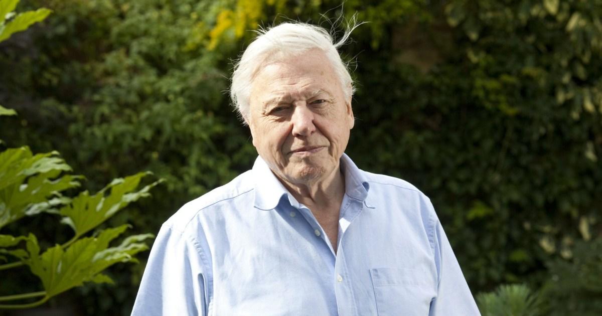 David Attenborough, 98, is ‘profoundly disturbed’ by unauthorised AI clone of voice [Video]