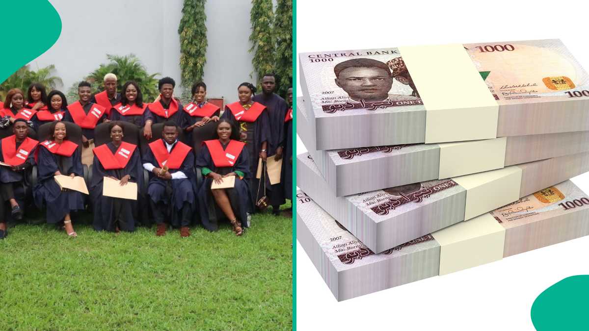 200 Million Naira Yearly: 6 Master’s Degrees with the Highest Earning Potential in 2025 [Video]