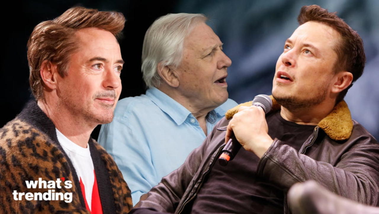 Robert Downey Jr., David Attenborough, & More [Video]