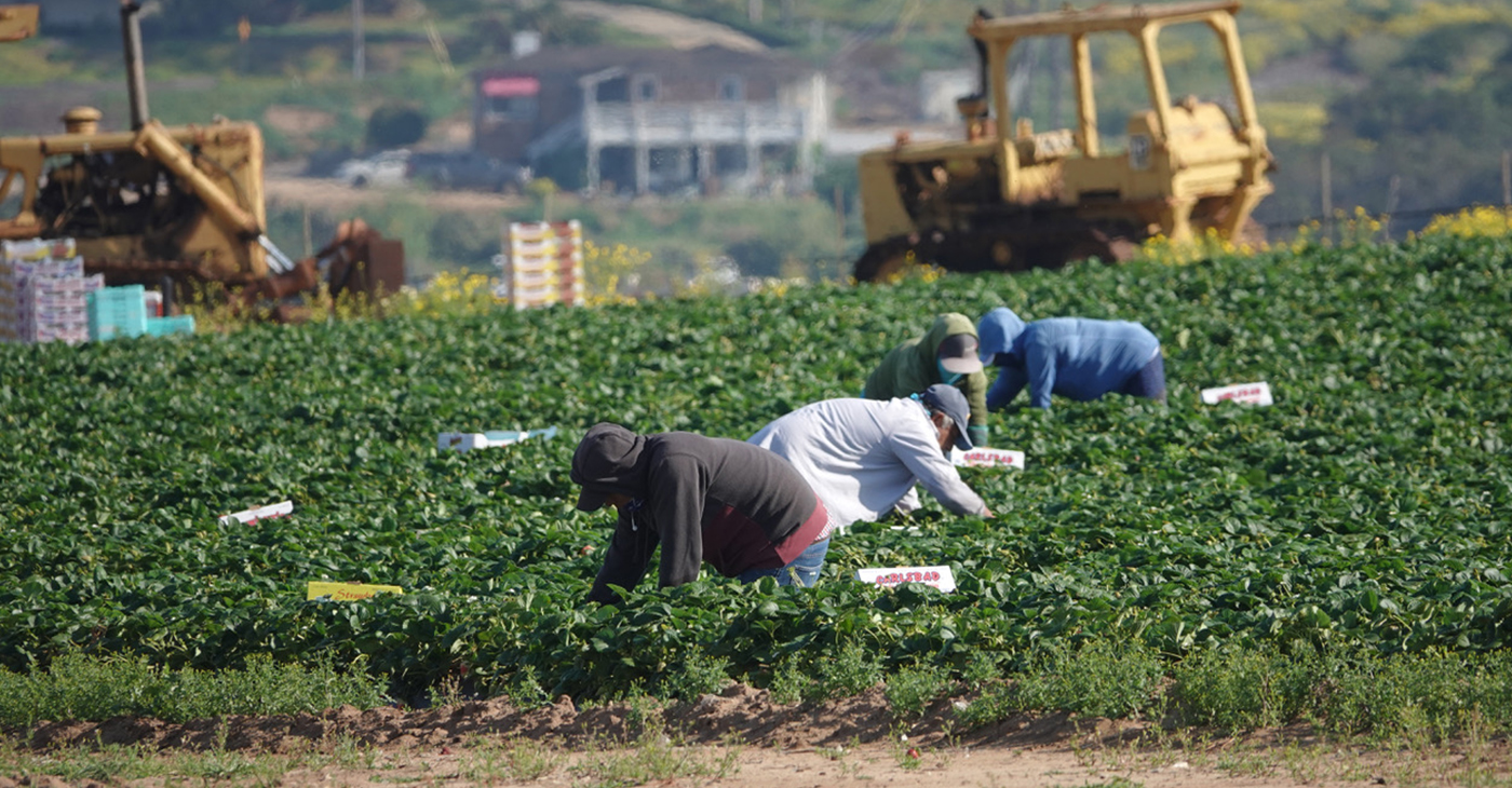 With Immigration Reform on the Table, Advocates Put Human Face on Califs Migrant Farmworkers | [Video]