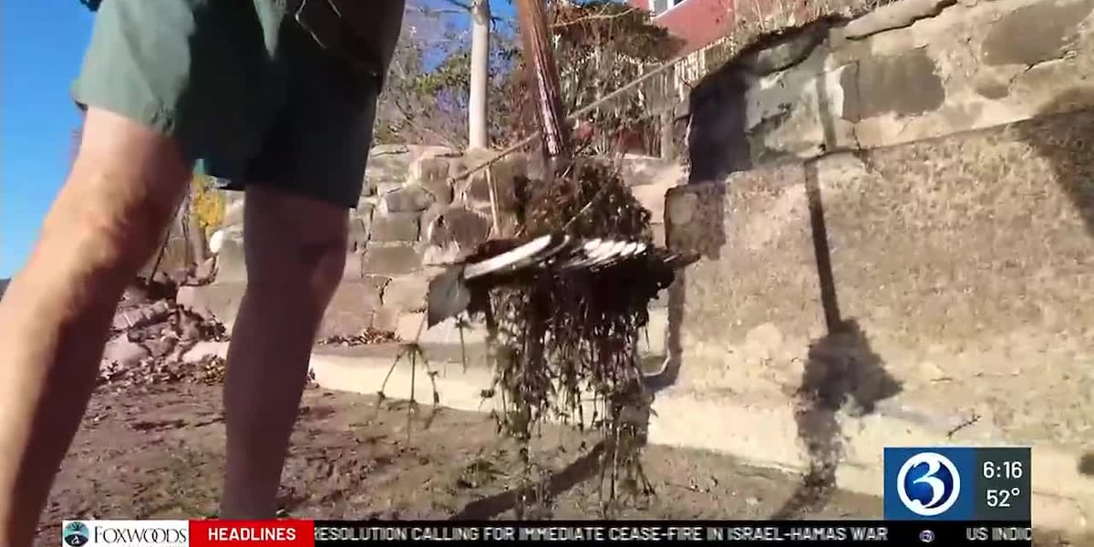 East Hampton taking a unique approach to rid lake of invasive species [Video]