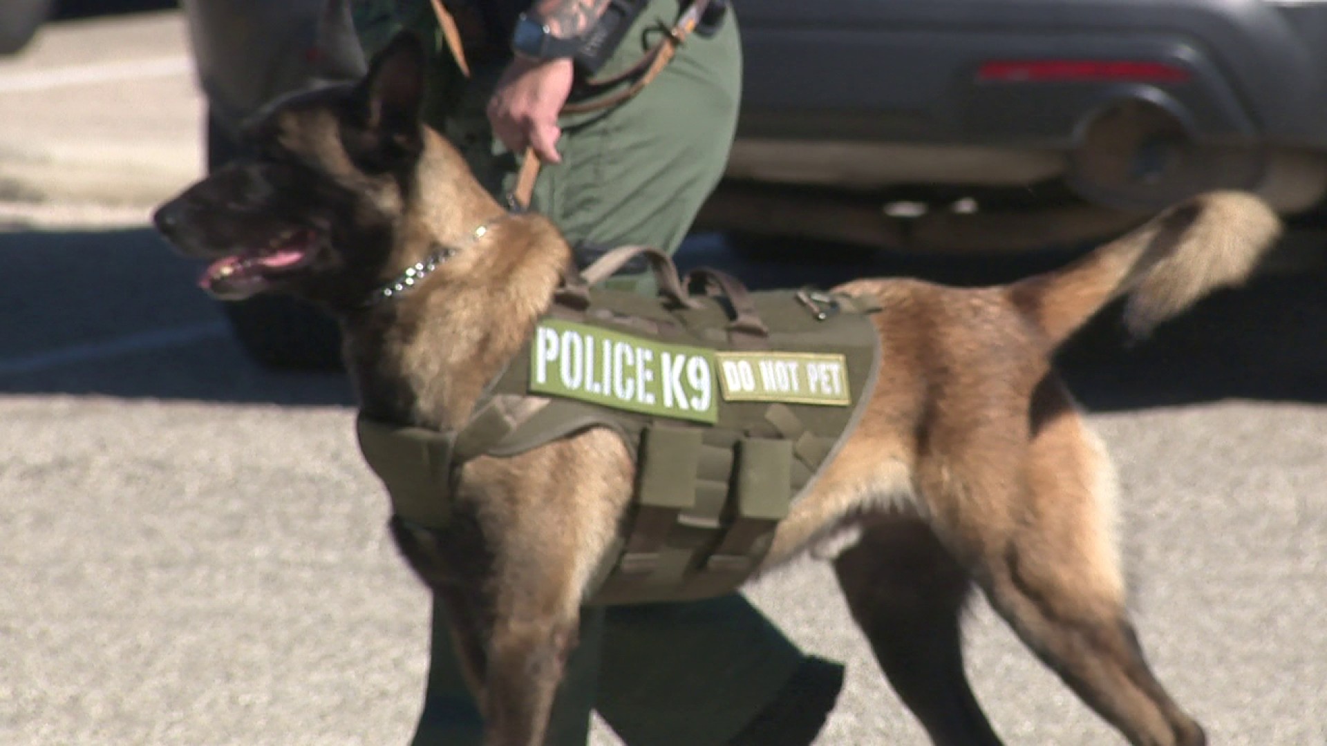 Southwest ISD welcomes first K9 to districts police force [Video]