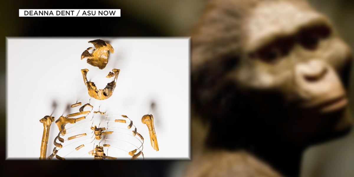 Arizona State paleontologist talks about 50-year anniversary of his Lucy skeleton discovery [Video]