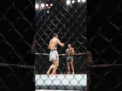 AllFreeFightVideos | FightVideoMMA | UFC - MMA - Mixed Martial Arts Fight Videos Online: the boys were SWINGING!!!!