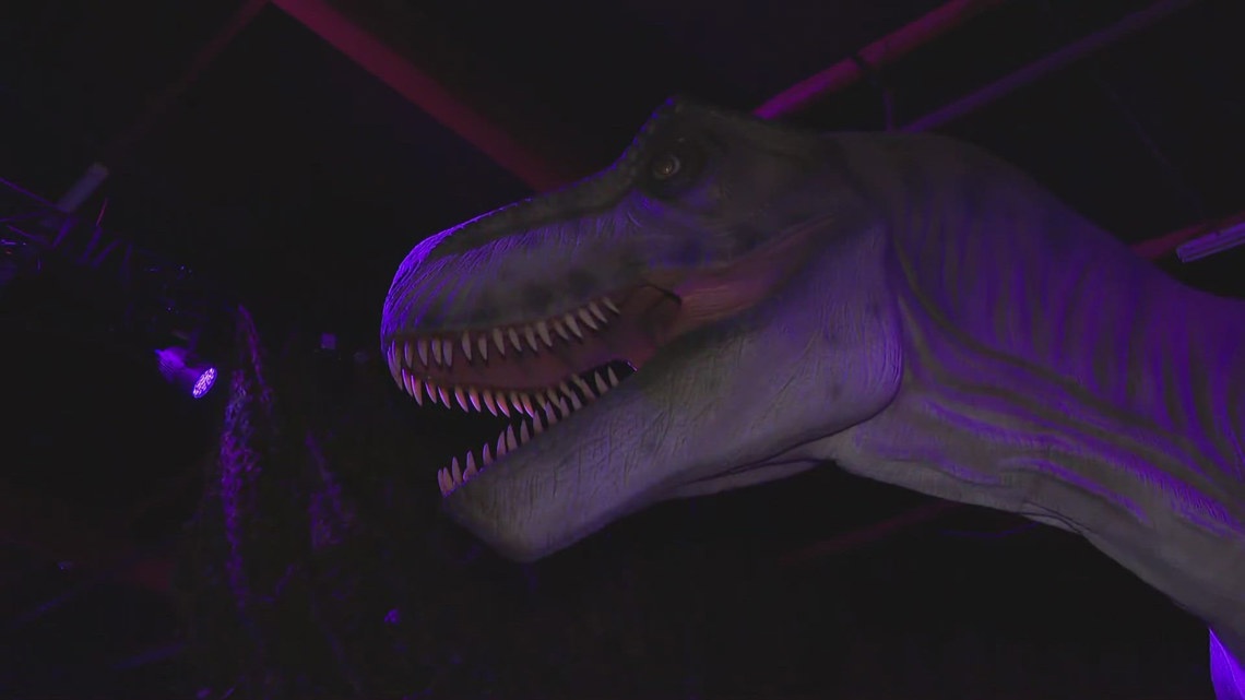 50+ dinosaurs come alive at the Dinos Alive Immersive Experience in Roseville [Video]