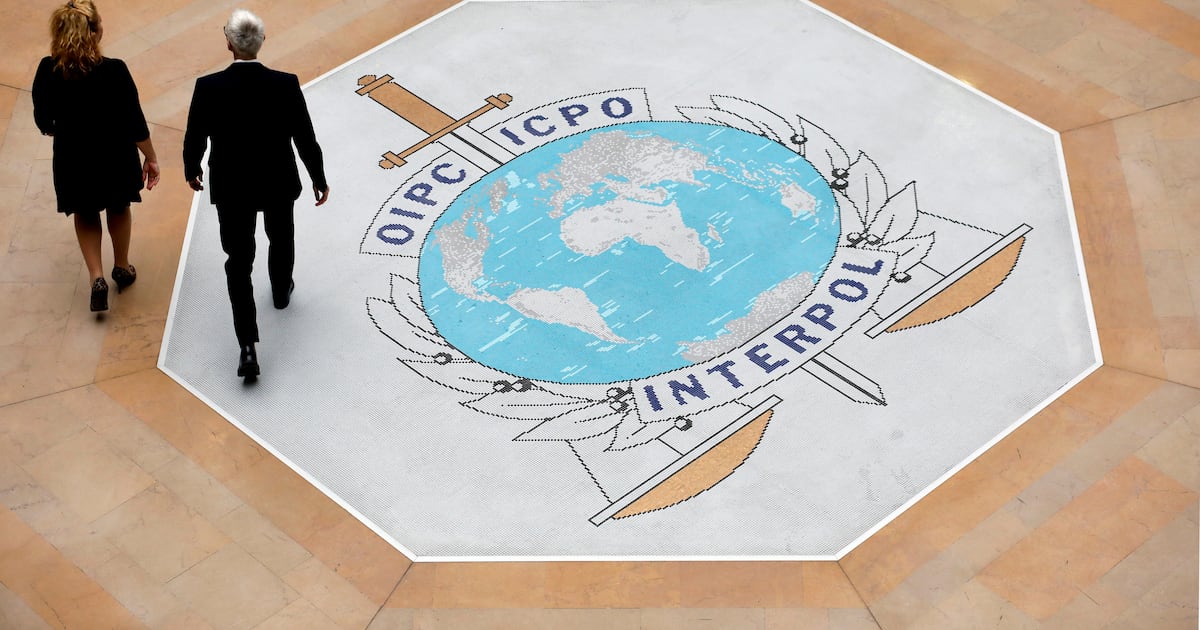 Interpol clamps down on cybercrime and arrests over 1,000 suspects in Africa  WSOC TV [Video]