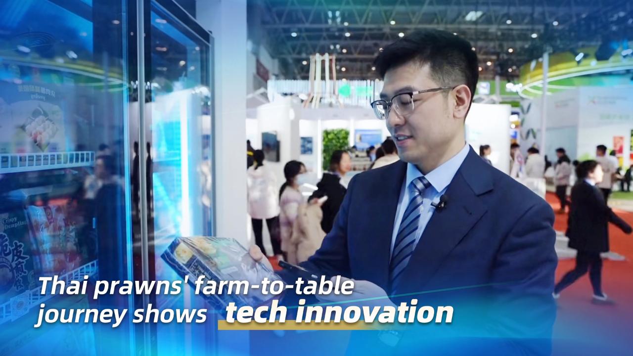 Thai prawns’ farm-to-table journey shows tech innovation [Video]