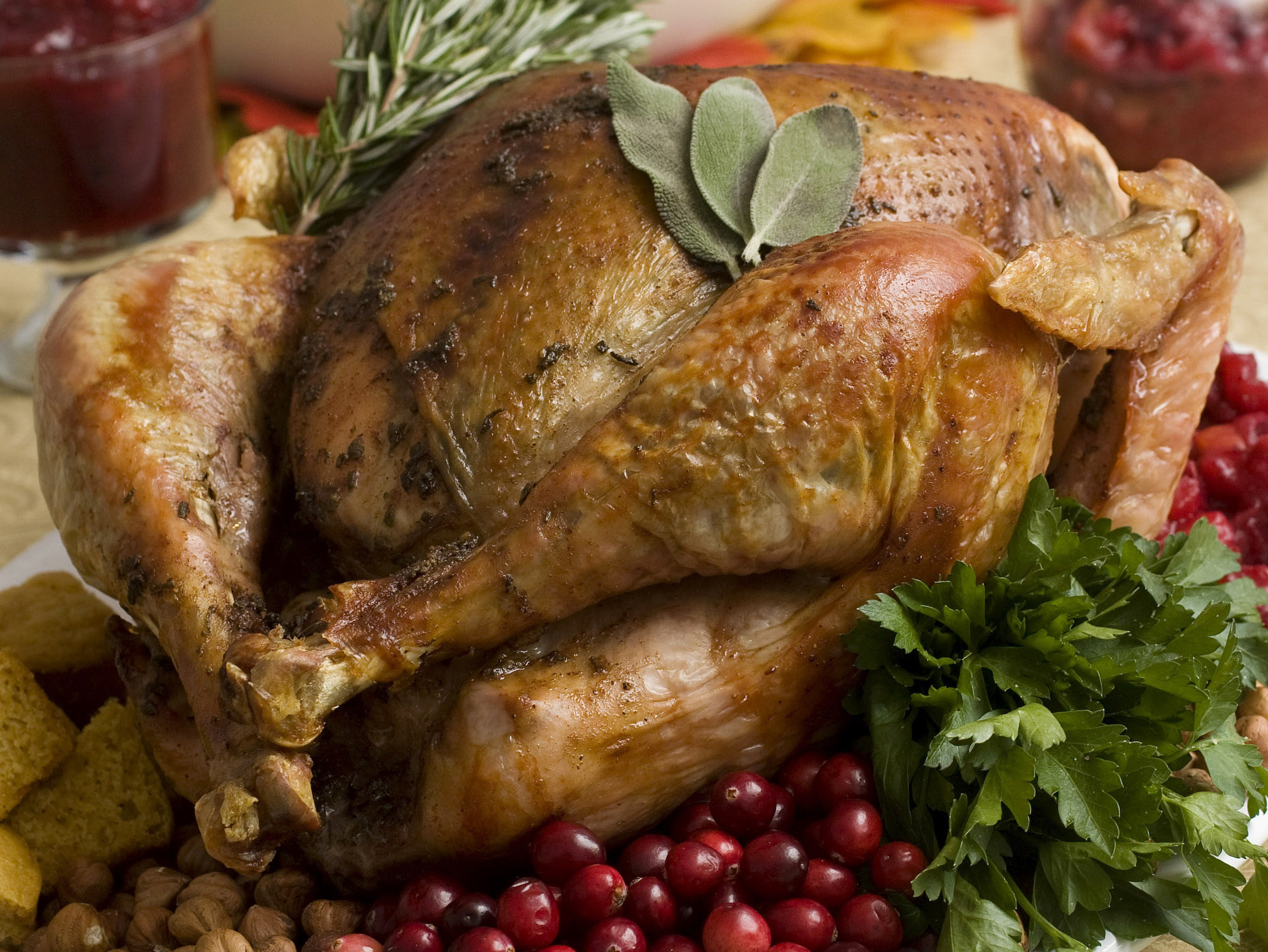 How Do You Make Perfect Roast Turkey for Thanksgiving? We Asked ChatGPT [Video]