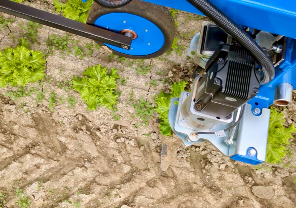 Automated weeder uses AI to manage weeds in vegetable crops [Video]