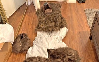 When your bad bear costume gets you arrested [Video]