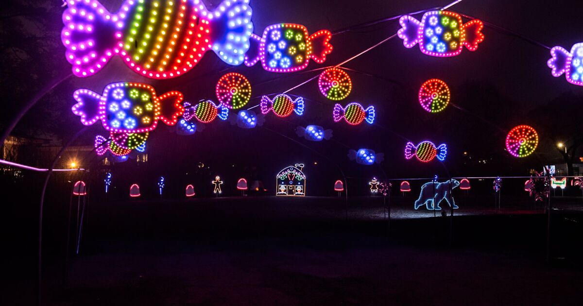 MI Bright Lights is a new, immersive outdoor holiday show & experience [Video]