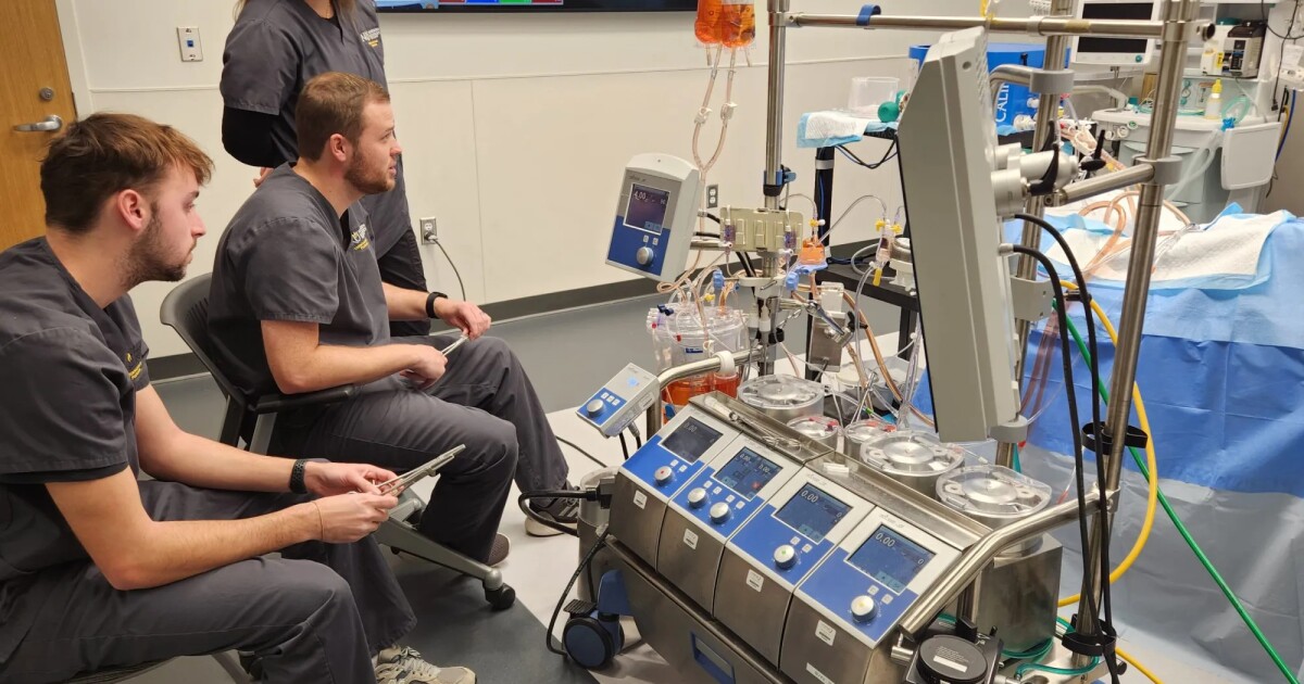 NKU simulation lab shows students diverse careers in healthcare [Video]