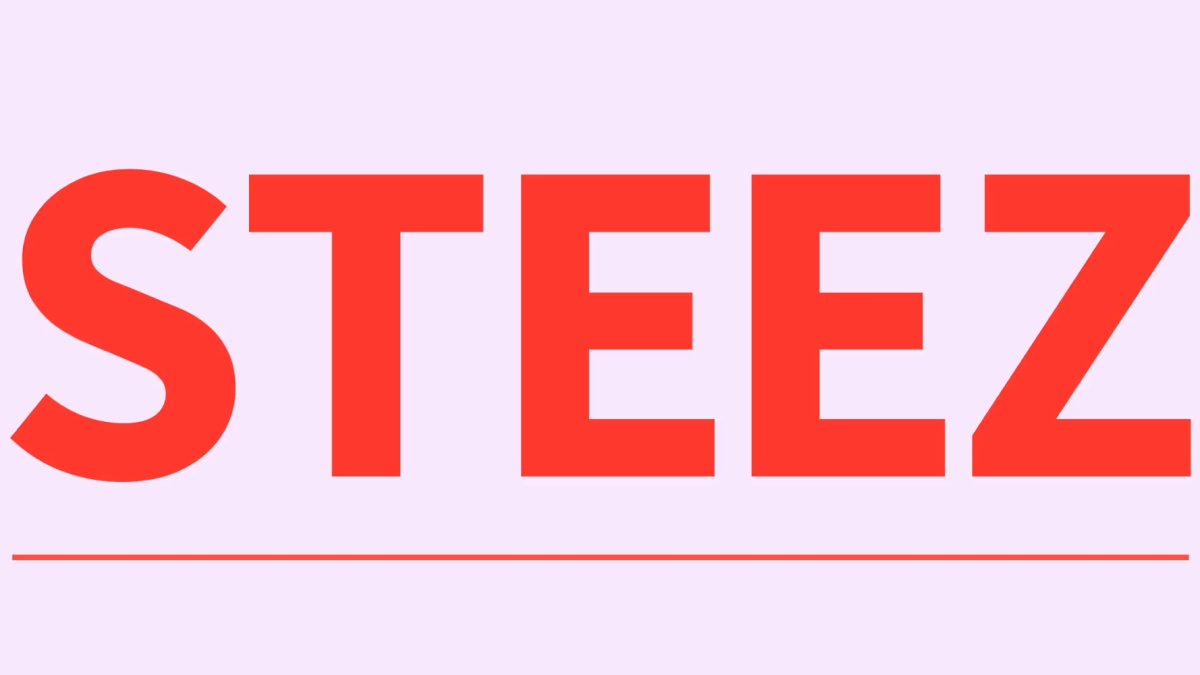 Do you have steez? What the teen slang term means  NECN [Video]