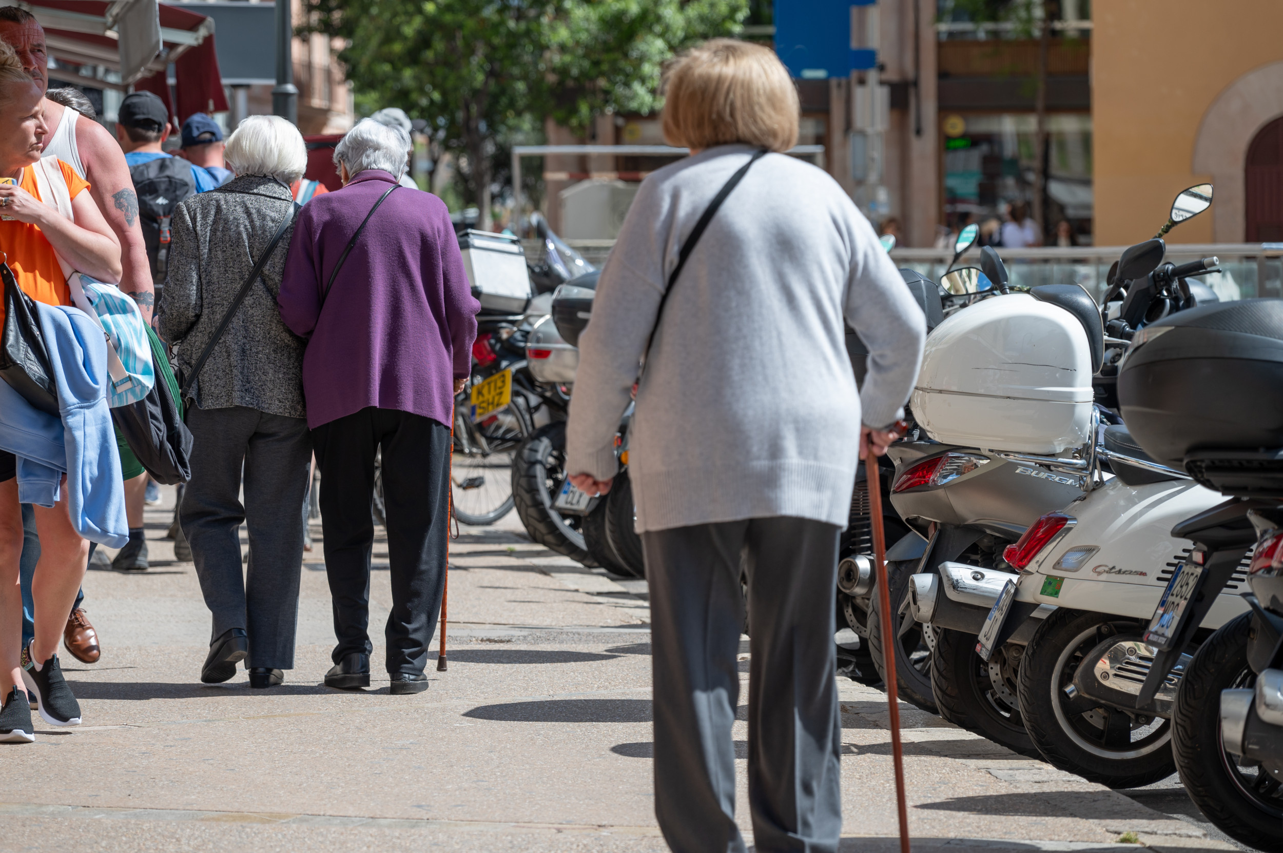 ‘Numerous’ Substances That May Slow Aging Discovered With New AI Tool [Video]