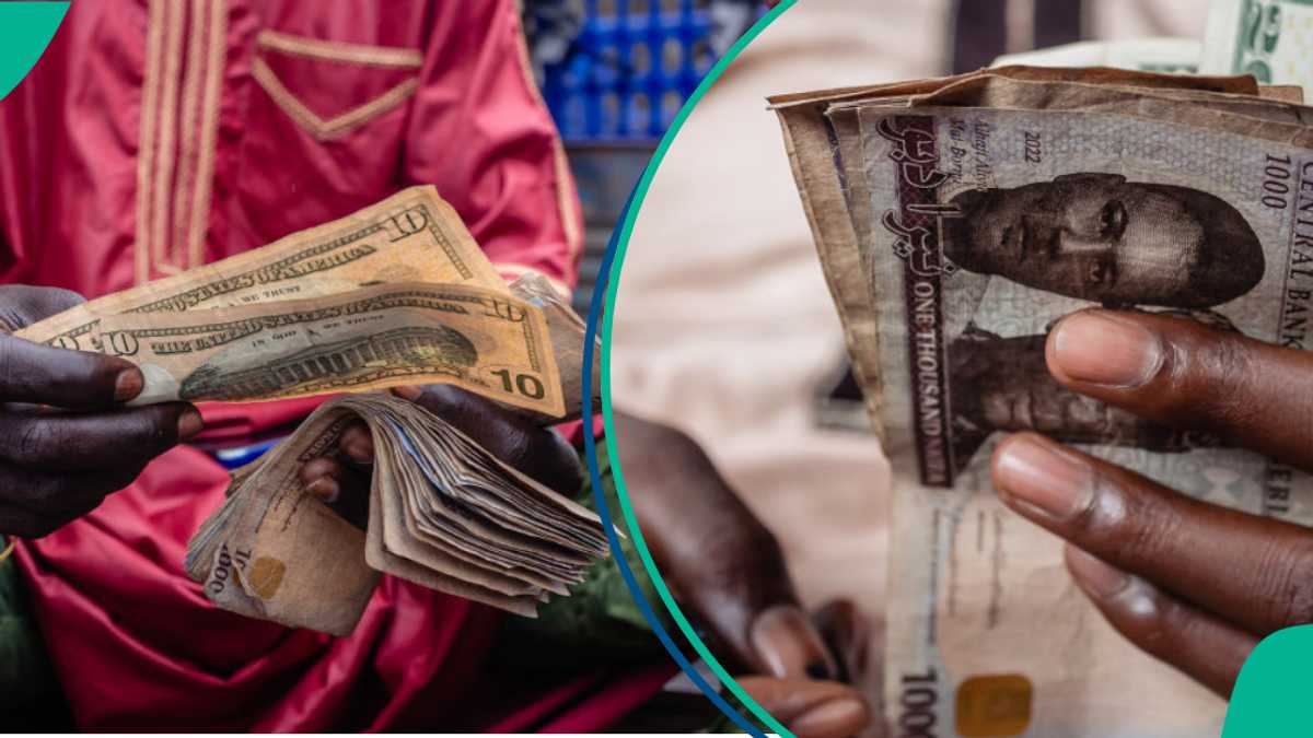 Again, Traders Crash Dollar Exchange Rate as Naira Appreciates [Video]