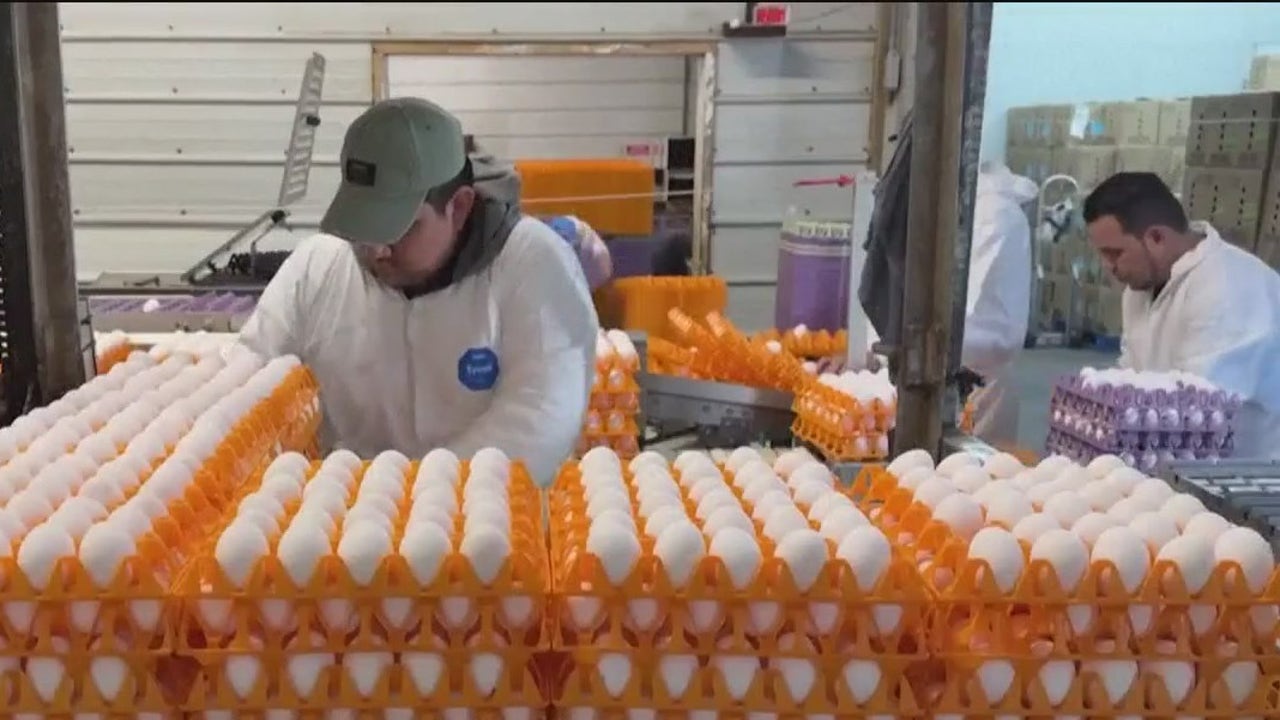 Egg shortage: What to know [Video]