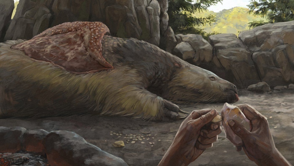 Prehistoric sloths, mastodons coexisted with humans, research finds [Video]