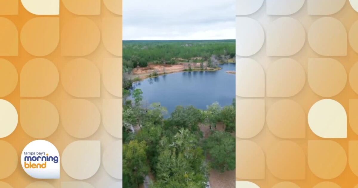 Compass Tells Us About a Unique Deer Farm & Hunting Ranch for Sale in Fort McCoy [Video]