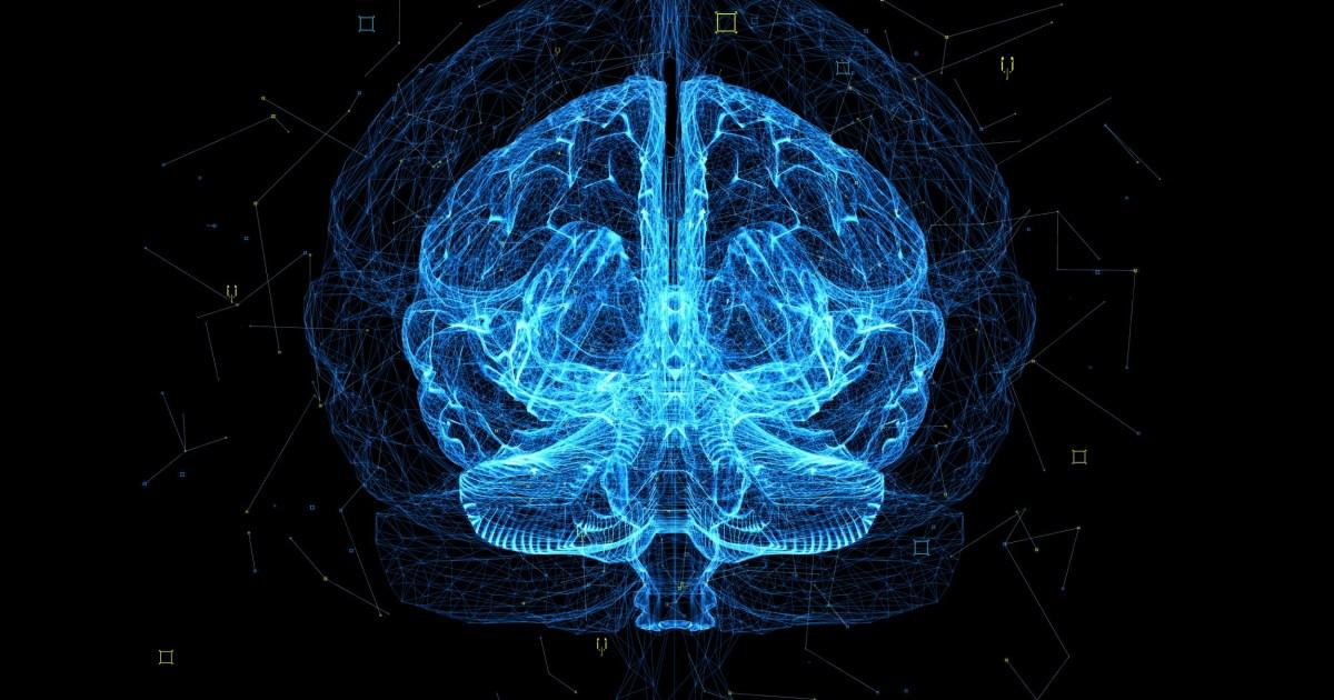 The human brain processes thoughts 5,000,000 times slower than the average internet connection | News Weird [Video]