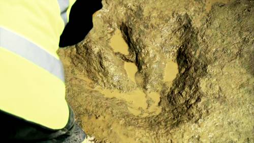 Jurassic highway: Hundreds of dinosaur footprints found in UK quarry [Video]