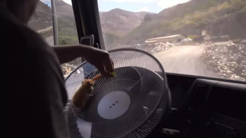 Smooth Riding ft. Volvo Trucks [Video]