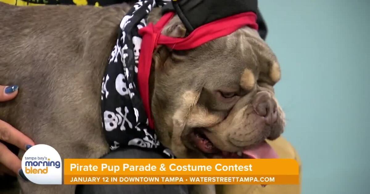 Pirate Pup Parade Returns to Water Street Tampa on Saturday, January 12 [Video]