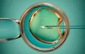 Can AI Help Make IVF More Successful? [Video]