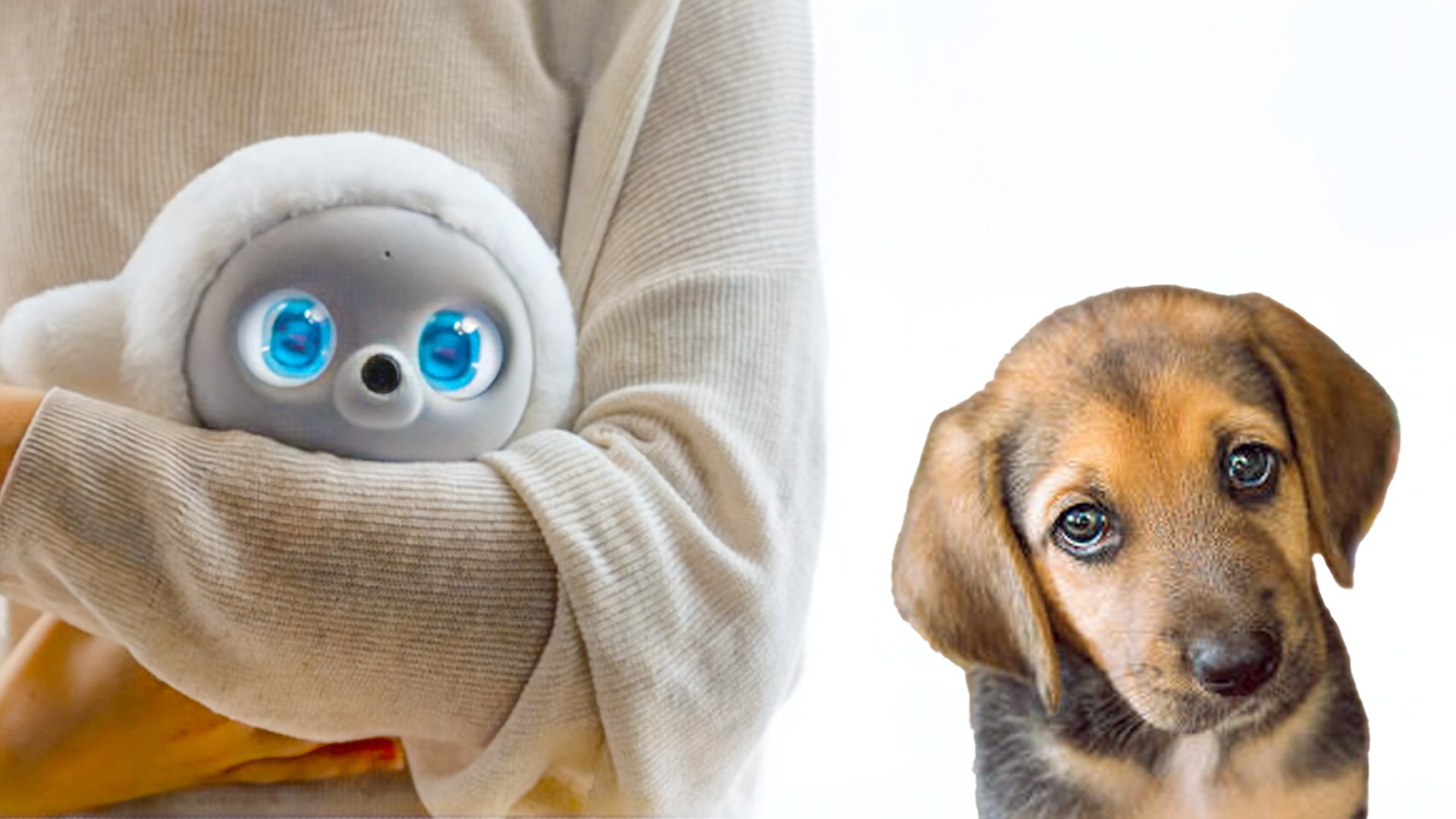 Youre Already Choosing AI Over Humans  Pets Are Next [Video]